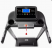 Беговая дорожка Family ProxyLine TM 45